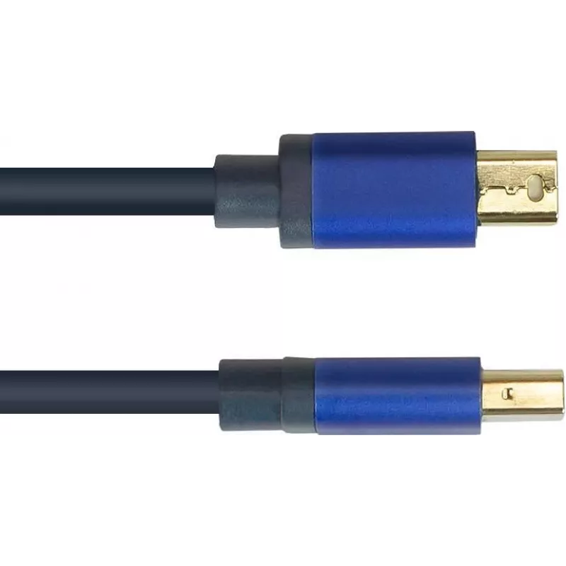 GoodConnections Alcasa 4824-SF010B Mini DisplayPort to DisplayPort Cable 1m Blue 4K@60Hz