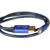 GoodConnections Alcasa 4824-SF010B Mini DisplayPort to DisplayPort Cable 1m Blue 4K@60Hz