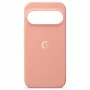 Google Pixel 11 Pro XL Case Canyon CGY4 5B05