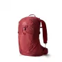Gregory Maya 25 Backpack - Iris Red