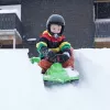 Hamax Sno Zebra Snow Racer Green Polyethylene