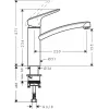 HANSGROHE Logis 160 Kitchen Mixer, Swiveling Spout, Chrome