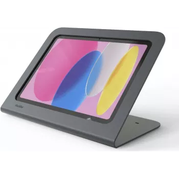 Heckler Design H750X-BG WindFall Tablet Stand for 9.7-inch iPads, Grey