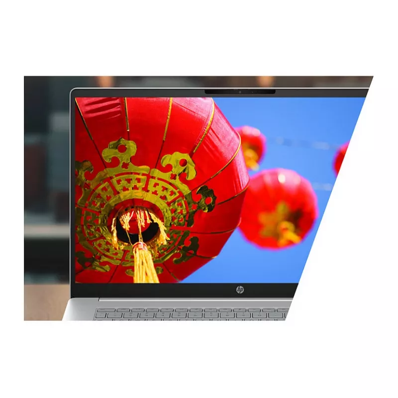 HP OmniBook 3 17-dp0150ng Laptop, 17.3 inch FHD IPS, AMD Ryzen 5 5625U, 8GB RAM, 512GB SSD, FreeDOS, Natural Silver