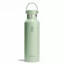 Hydro Flask 620 ml Standard Flex Cap 21 OZ Aloe