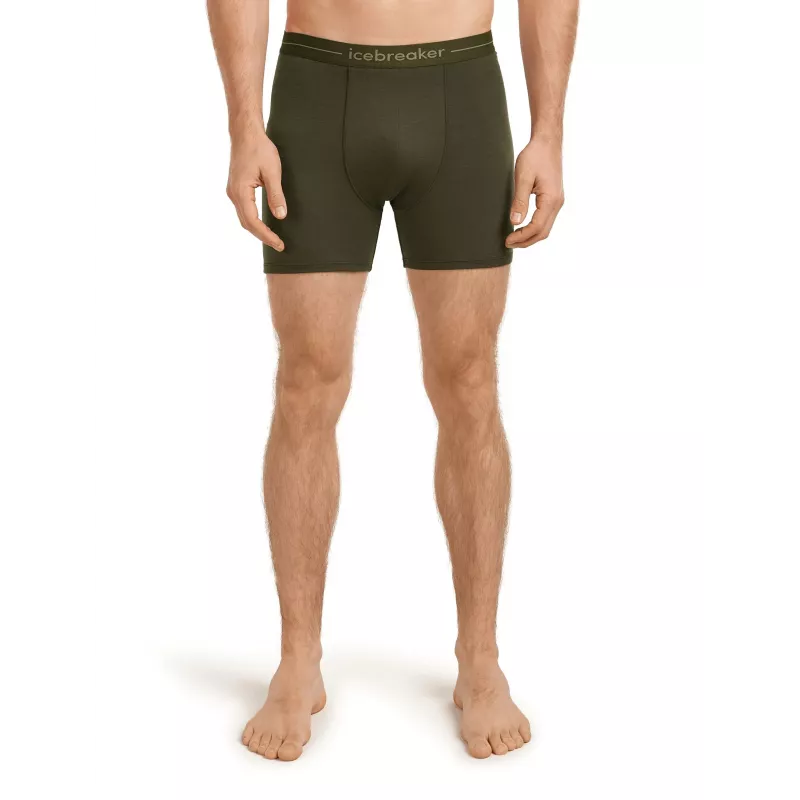 Icebreaker Anatomica Boxers - Dark Loden, Size M