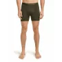 Icebreaker Anatomica Boxers - Dark Loden, Size M
