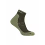 Icebreaker Hike+ Light Mini Merino Men's Socks Dark Loden/Lichen