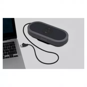 IIYAMA WP-MEET03M Wireless Presentation Transmitter with 8-Mic Array, 4K UHD, USB-C, Black