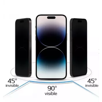 iLike Apple iPhone 17 Pro Tempered Privacy Glass Screen Protector Black