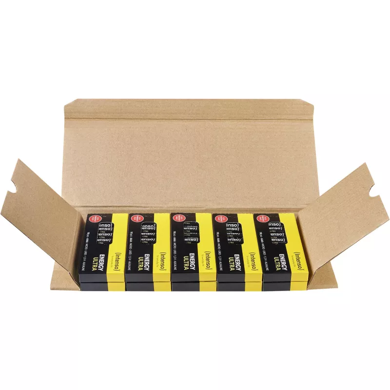 INTENSO Energy Ultra AAA LR03 Alkaline Batteries (100-Pack)