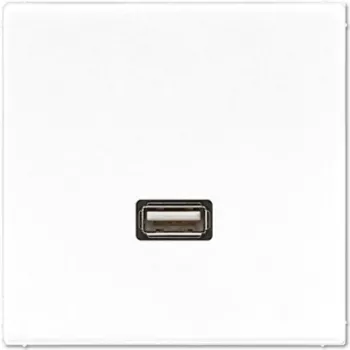 JUNG LS-Series USB 2.0 Connection Module, Alpine White (MALS1122WW)