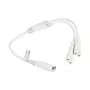 KABELMEISTER SK0877-W003 Power Splitter Cable IEC C8 to 2x IEC C7, 0.3 m, Black