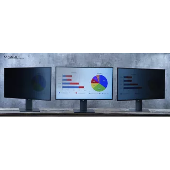 KAPSOLO 2-Way Removable Privacy Filter for 24 inch Widescreen Monitor (16:9) - Frameless, Transparent, 30° Privacy Angle KAP10796