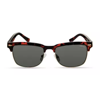KENNETH COLE KC2972-5352N Men's Sunglasses Havana Brown 53mm