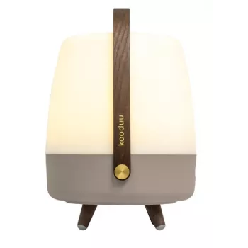 KOODUU Koody Lite-up Play 2.0 Earth LED Portable Light with Built-in JBL Speaker