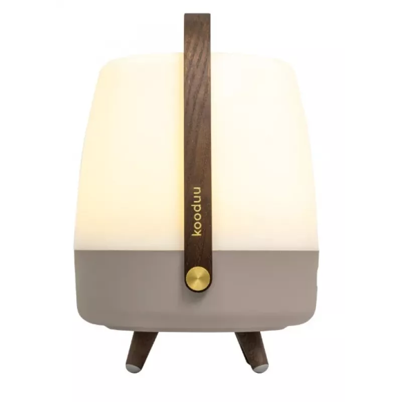 KOODUU Koody Lite-up Play 2.0 Earth LED Portable Light with Built-in JBL Speaker