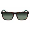 Lacoste L956S-230 Men's Sunglasses Havana Brown Rectangular Acetate 55mm