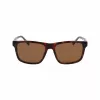 Lacoste Men's Sunglasses L6025S-219 Havana Green 56mm