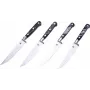 Laguiole Steak Knife Set 4-Piece with Resin Handle