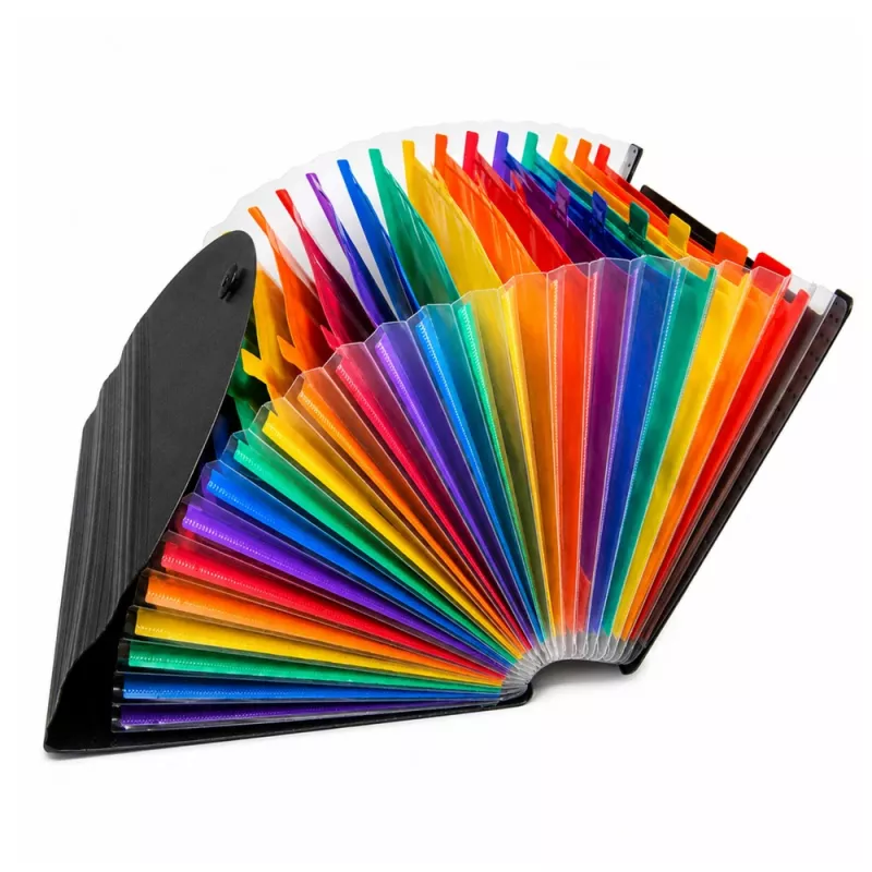 LEAN Folder Organizer for Documents, 25 Compartments, A4, Black