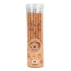 LEAN Set of 30 HB Graphite Pencils with Capybara Eraser in a Tube