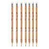 LEAN Set of 30 HB Graphite Pencils with Capybara Eraser in a Tube