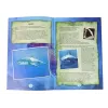 LEAN TOYS Ammonite Shark Excavation Educational Kit