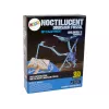 LEAN TOYS Archaeology Excavation Kit Dinosaur Skeleton Pteranodon 3D Hologram