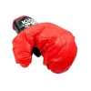LEAN TOYS Big Boxer Set For Kids + Gloves Pear Stand