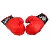 LEAN TOYS Big Boxer Set For Kids + Gloves Pear Stand