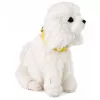 LEAN TOYS Interactive Plush Dog Soft Fur Breed Poodle Stroke Its Head and Learn Its Functions