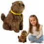 LEAN TOYS Interactive Plush Dog with Soft Fur - Stroke Its Head and Learn Its Functions