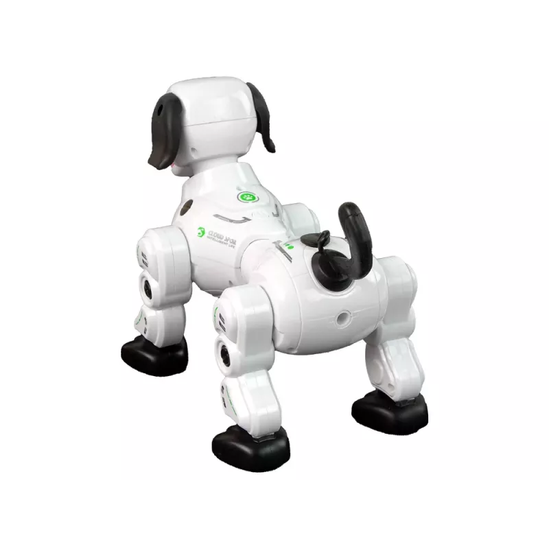 LEAN TOYS Interactive Remote Controlled Robot Doggy