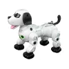 LEAN TOYS Interactive Remote Controlled Robot Doggy