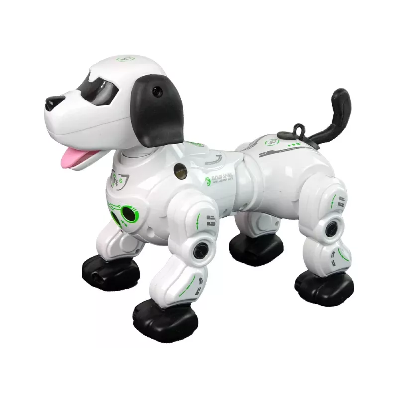 LEAN TOYS Interactive Remote Controlled Robot Doggy