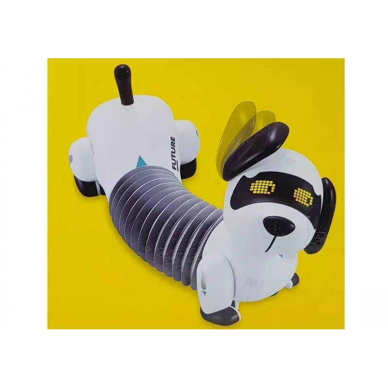 LEAN TOYS Interactive Robot Dog Remote Controlled Music Sound Remote Control Ball