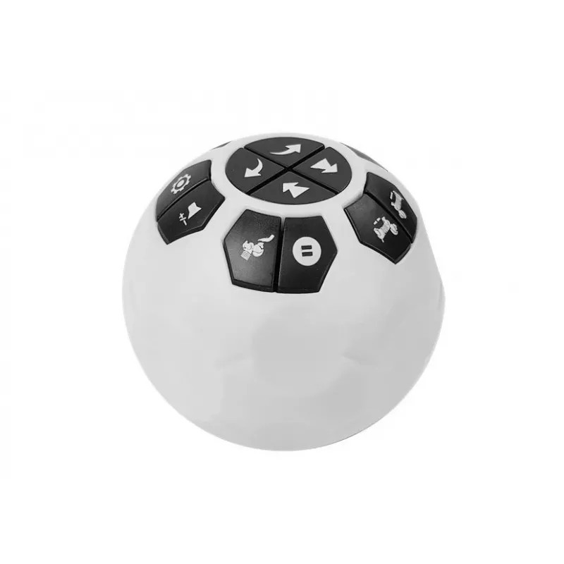 LEAN TOYS Interactive Robot Dog Remote Controlled Music Sound Remote Control Ball