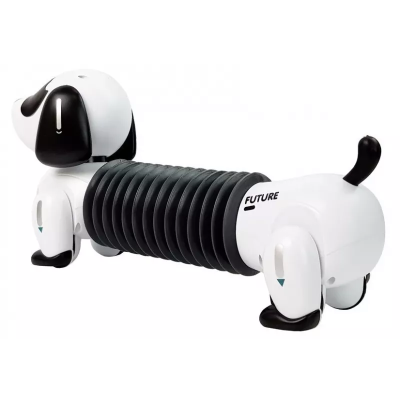 LEAN TOYS Interactive Robot Dog Remote Controlled Music Sound Remote Control Ball
