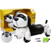 LEAN TOYS Interactive Robot Dog Remote Controlled Music Sound Remote Control Ball