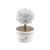 LEAN TOYS Magic Tree Crystal Growing Silver Experiences