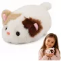 LEAN TOYS Plush Kitten Mascot Cuddly Toy Soft Small White 16 cm