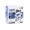 LEAN TOYS Remote Controlled Interactive Robot Dog – Dancing, Singing, Programmable Commands, Blue | DistriNode SA