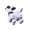 LEAN TOYS Remote Controlled Interactive Robot Dog – Dancing, Singing, Programmable Commands, Blue | DistriNode SA