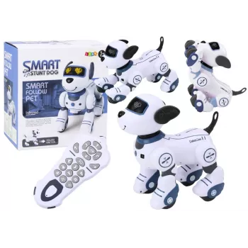 LEAN TOYS Remote Controlled Interactive Robot Dog – Dancing, Singing, Programmable Commands, Blue | DistriNode SA