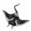 LEAN TOYS Stingray Rubber Figurine Stretchable Realistic Ocean Fish 13cm
