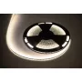 LED Cord 25m Rebel 300x5050 SMD Neutral White Waterproof 12V