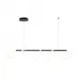 LED LENSER Pendant LED Light Tigris Long 4000K Black