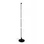 LED LENSER TIGRIS 4000K Black Floor LED Light