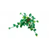LEGO BOTANICALS 11512 Hanging Dragon Ivy Building Set